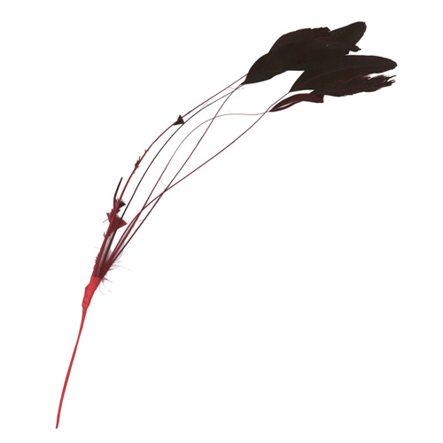 70283 Feather Stripped Coque Red