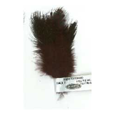 70374 Feather Guinea Cluster Brown