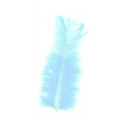 70415 Feather Turkey Light Blue
