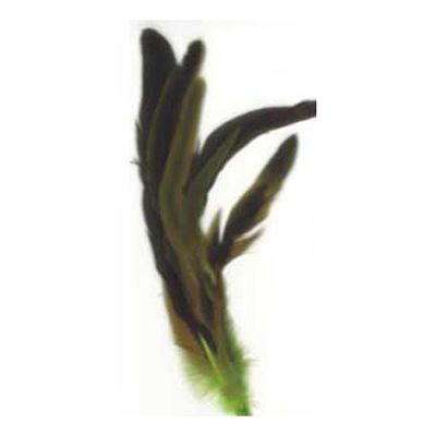 70425 Feather Cocktail Green