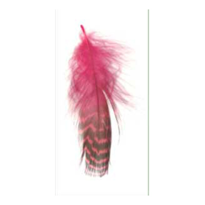 70464 Feather Duck Red