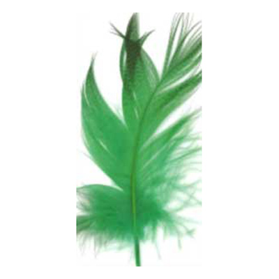 70465 Feather Duck Green