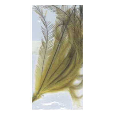 70494 Feather Emu Lemon