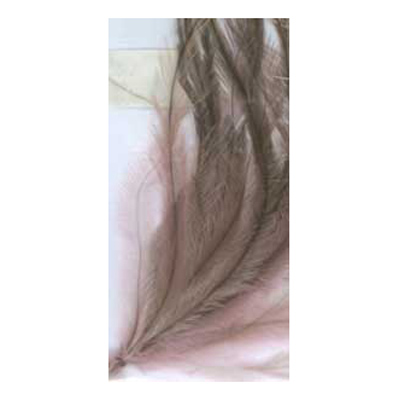 70495 Feather Emu Light Pink