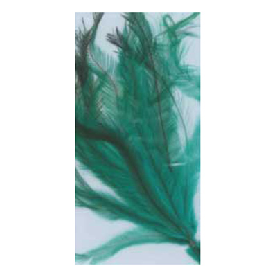70497 Feather Emu Turquoise