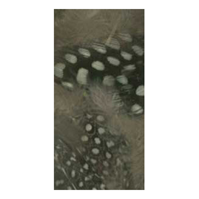 70516 Feather Classique Polka Natural