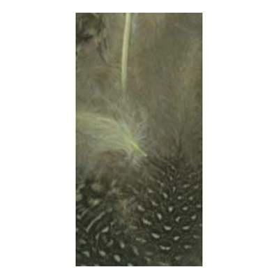 70517 Feather Classique Polka Yellow