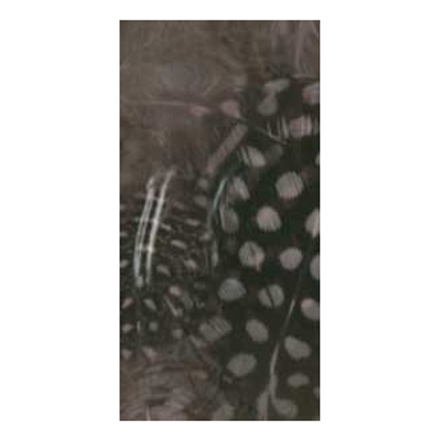 70518 Feather Classique Polka Light Pink