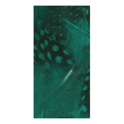 70521 Feather Classique Polka Turquoise