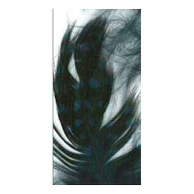 70522 Feather Classique Polka Navy