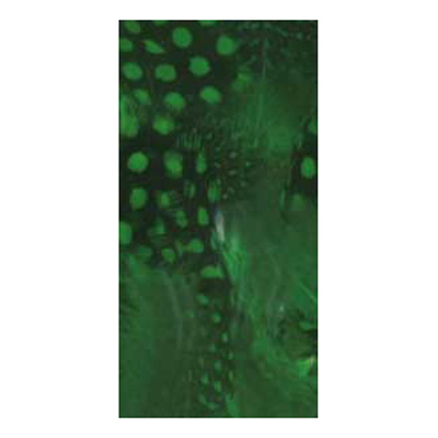 70523 Feather Classique Polka Green