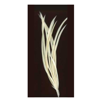 70536 Feather Classique Biot Natural