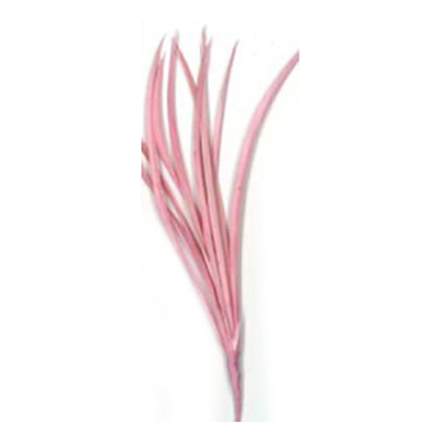 70538 Feather Classique Biot Light Pink