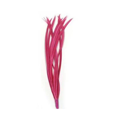 70539 Feather Classique Biot Hot Pink