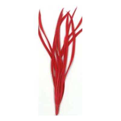70540 Feather Classique Biot Red