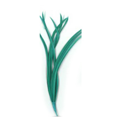 70541 Feather Classique Biot Turquoise