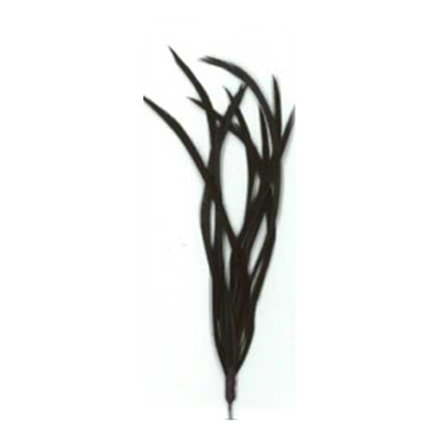 70545 Feather Classique Biot Black