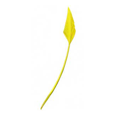 70607 Feather Arrow & Stripped Quill Yellow