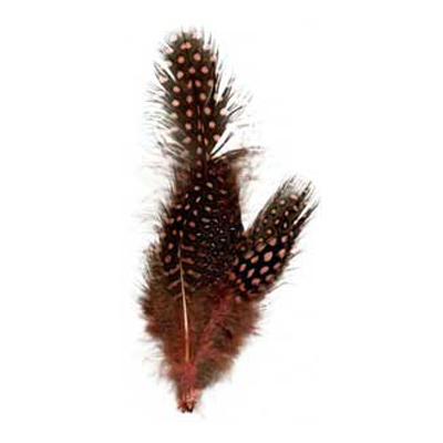 70634 Feather Guinea Cluster Salmon