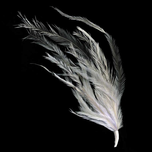 70735 Feather Emu Cluster White