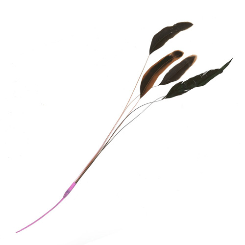 70770 Feather Stripped Coque Soft Pink