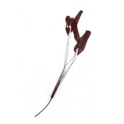 70806 Feather Stripped Coque Dirt