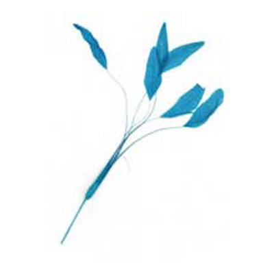 70808 Feather Stripped Coque Fluro Peacock