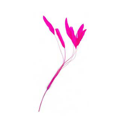 70809 Feather Stripped Coque Shocking Pink