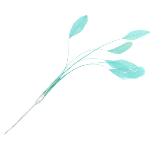 70811 Feather Stripped Coque Sea Ocean