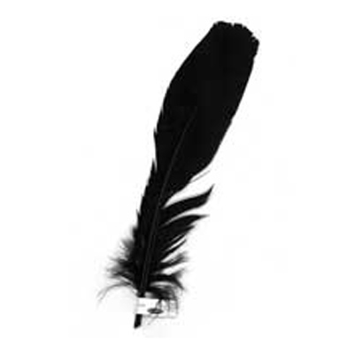 70825 Feather Quill Black