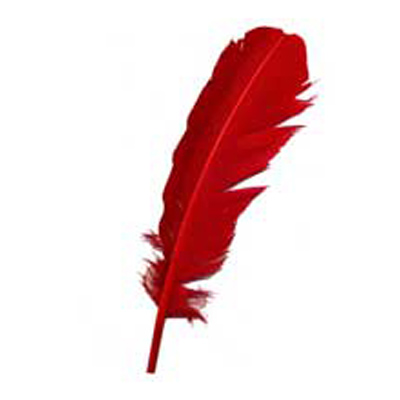 70826 Feather Quill Ruby Woo