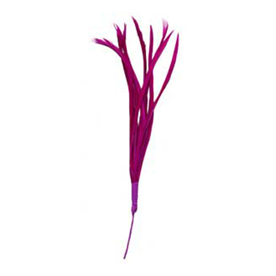 70834 Feather Biots Shocking Pink