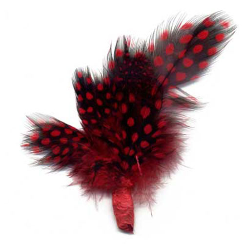 70841 Feather Guinea Cluster Ruby Woo