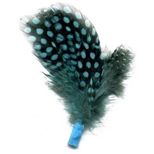 70842 Feather Guinea Cluster Sea Ocean