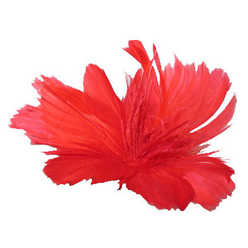 70856 Feather Goose Biot Ruby Woo