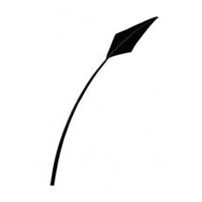 70868 Feather Arrow & Stripped Quill Black