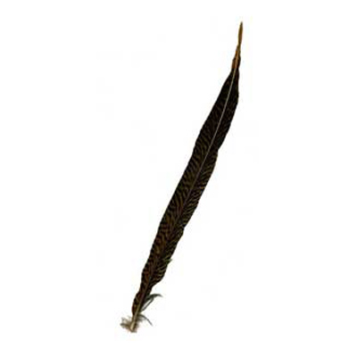 70884 Feather Tiger Pheasant Natural