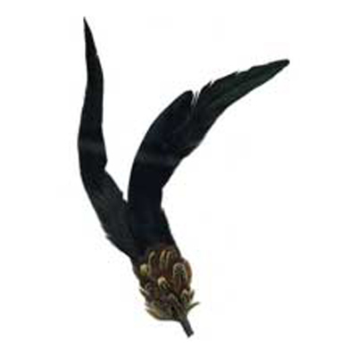 70885 Feather Long Copue With Pheasant Black