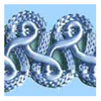 75753 Braid Gothic 18mm Blue