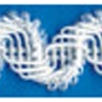 78837 Braid Gimp 25mm White