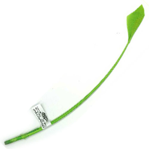 79863 Feather Arrow & Stripped Quill Lime Green