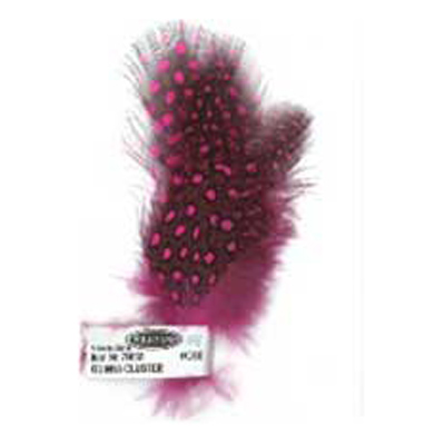 79865 Feather Guinea Cluster Rose