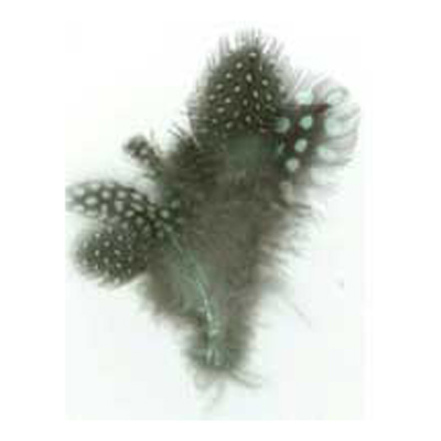 79867 Feather Guinea Cluster Pale Green