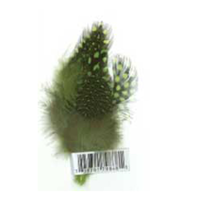 79868 Feather Guinea Cluster Lime Green