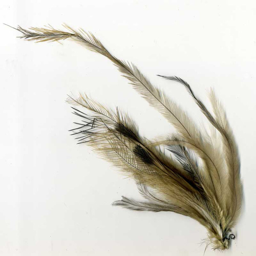 79871 Feather Emu Cluster Lemon Drop