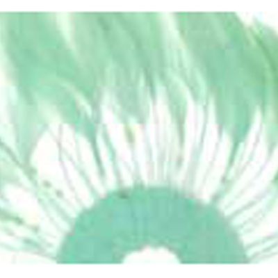 79882 Feather Stripped Marabou Pale Green