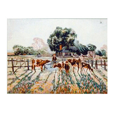 91914 Tapestry Spring Frost