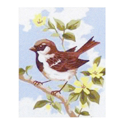91923 Tapestry Brow Wren