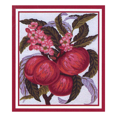 92377 Tapestry Apples On Branch