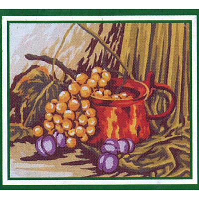 92395 Tapestry Grapes In A Pot